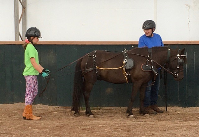 How Ponies and Pals is Supporting the Long-Term Growth of Driving in Canada